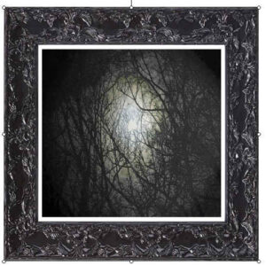 𝗔 𝗻𝗲𝘄 𝗽𝗼𝗲𝗺 𝗳𝗿𝗼𝗺 𝗺𝘆 𝗯𝗼𝗼𝗸, “𝗧𝗵𝗲 𝗦𝗽𝗲𝗹𝗹 𝗼𝗳 𝗗𝗮𝗿𝗸𝗻𝗲𝘀𝘀” 𝗘𝘅𝗰𝗲𝗿𝗽𝘁”