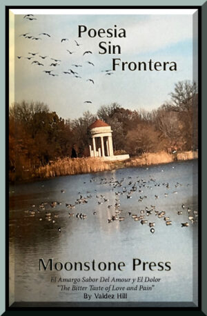 My new Spanish poem was published early. It came out today. My new Spanish poem was published early. It came out today.