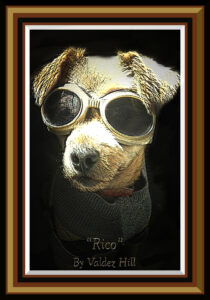 Read more about the article RICO