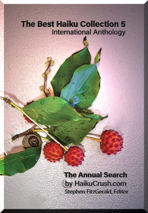 The Best Haiku Collection 5, International Anthology